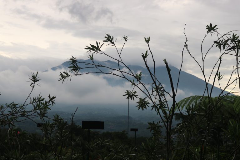 STAYCATION DI BOGOR, 2 HOTEL INI BISA JADI PILIHAN