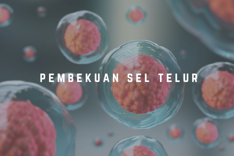 Pembekuan Sel Telur